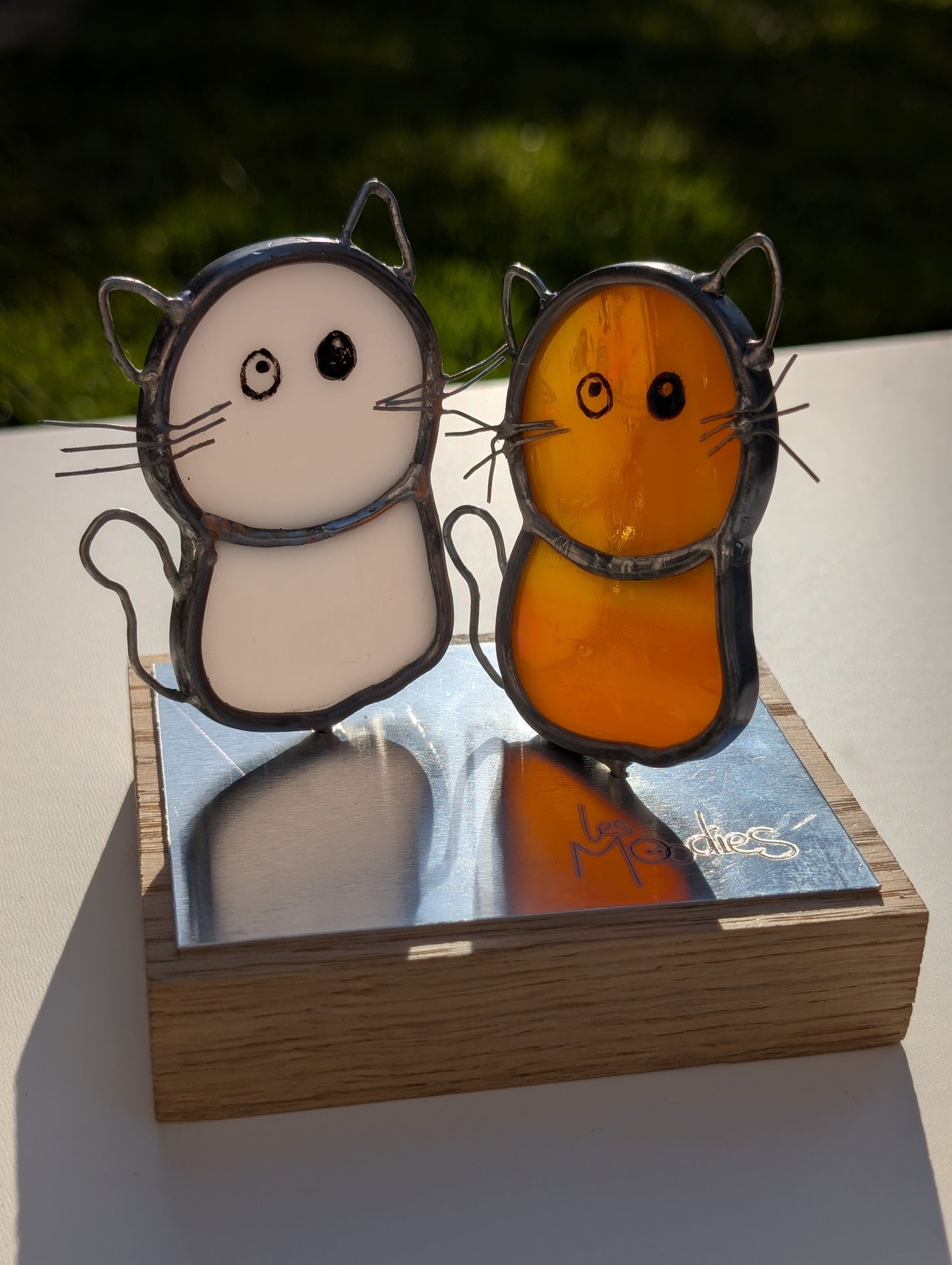 Moodies et son compagnon chat